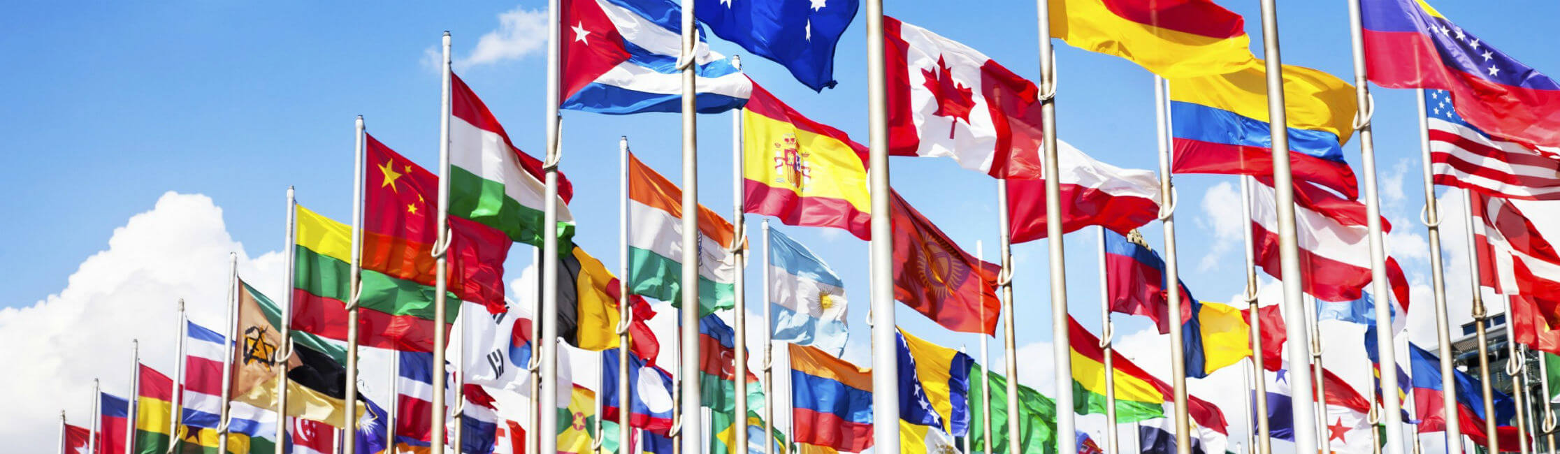 international-flag1